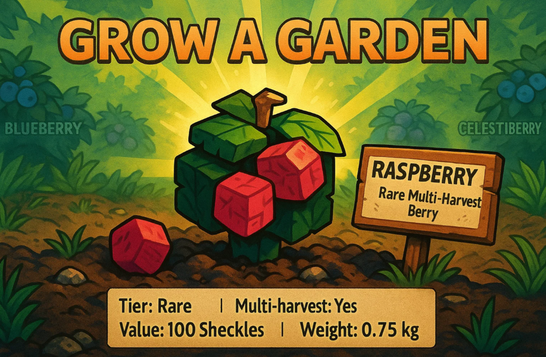 How to Get Raspberry in Grow a Garden